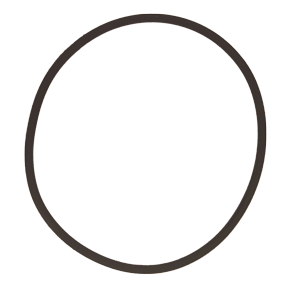 O-Ring F&uuml;r Abdichtung Von K&uuml;hlwasserfilter 9090150/325 - 090150g 72dpi - 9090150/G