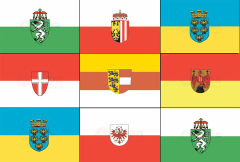 Steiermark Flagge 20x30cm - Deelstaatvlaggen oostenrijk 1 - STM2030