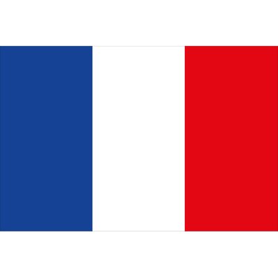 Franz&ouml;sische Flagge 20x30cm - Fr2030 72dpi - FRA2030