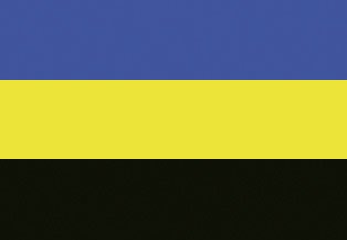 Gelderland Flagge 20x30cm - Ge2030 72dpi - GE2030